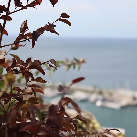 Portopiccolo Luxury Penthouse